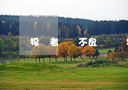 投資者參與不良資產領域七大模式