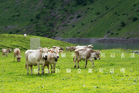 投資詐騙不立案可以去法院起訴嗎(直接去法院告詐騙立案可以嗎)