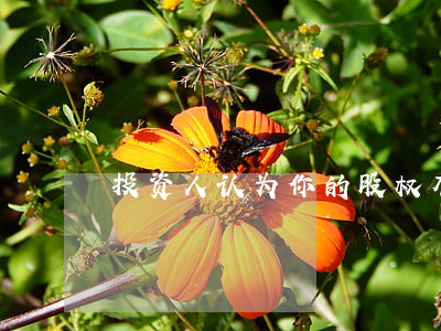 投资人认为你的股权有问题，你该怎么办？