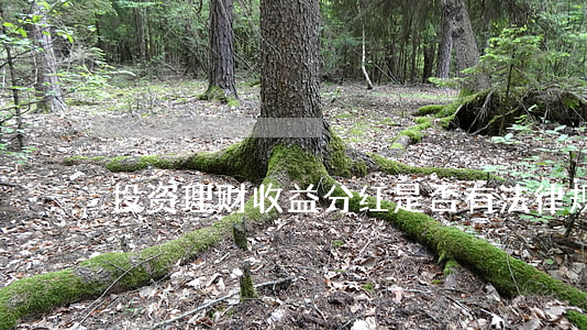 投资理财收益分红是否有法律规定