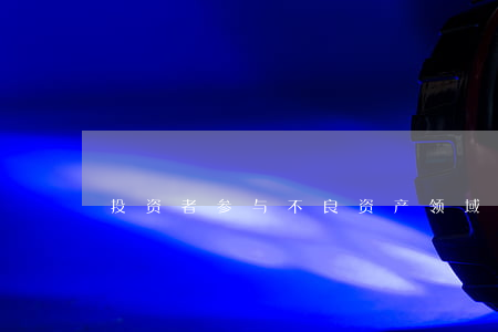 投资者参与不良资产领域七大模式