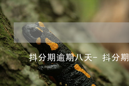 抖分期逾期八天-抖分期逾期兩天