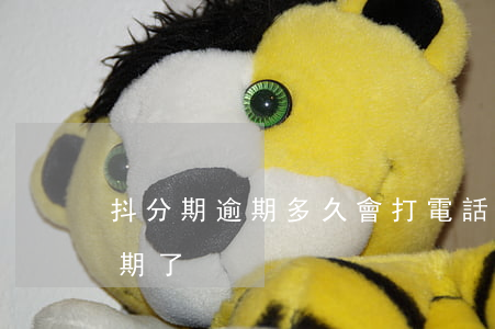 抖分期逾期多久會打電話給家里-抖分期逾期了