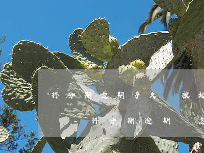 抖分期逾期多久會被起訴有規(guī)定嗎-抖分期逾期會怎么樣