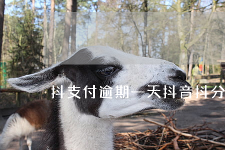 抖支付逾期一天(抖音抖分期逾期)