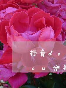 抖音dou分期逾期一天上征信嗎-抖音dou分期逾期了怎么辦