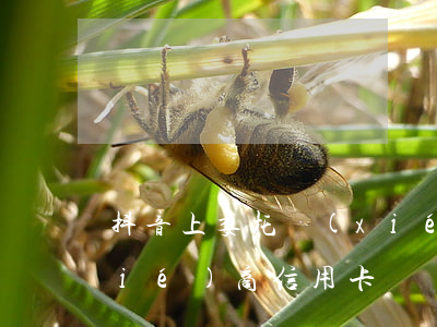 抖音上委托協(xié)商信用卡(代協(xié)商信用卡)