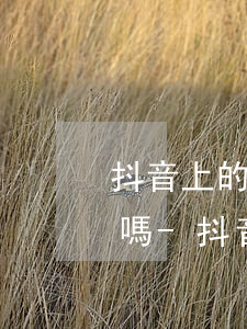 抖音上的信用卡協(xié)商還款是真的嗎-抖音上的信用卡協(xié)商還款是真的嗎嗎