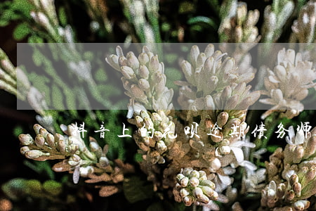 抖音上的花呗逾期债务师真的吗-