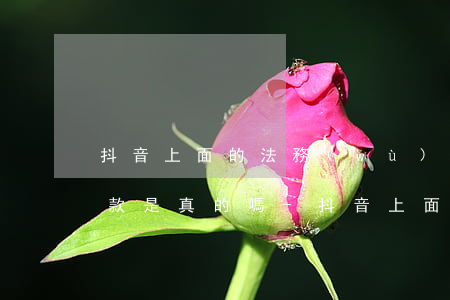 抖音上面的法務(wù)協(xié)商還款是真的嗎-抖音上面的法務(wù)協(xié)商還款是真的嗎可信嗎