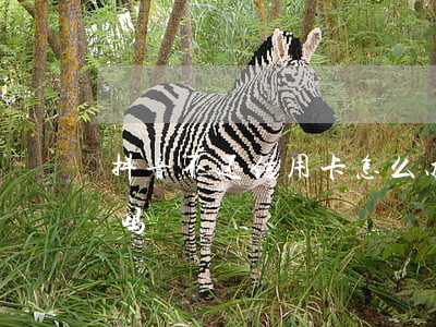 抖音不还信用卡怎么办(抖音骑士卡是信用卡吗)