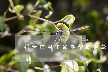 抖音信用卡逾期帮助退款（抖音信用卡逾期帮助）