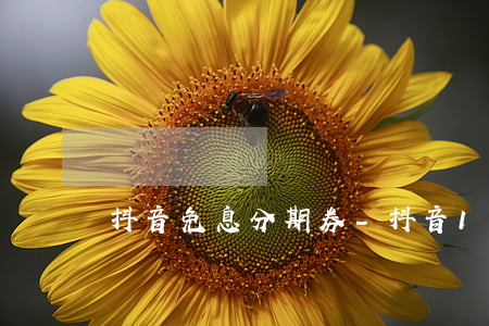 抖音免息分期券-抖音12期免息券