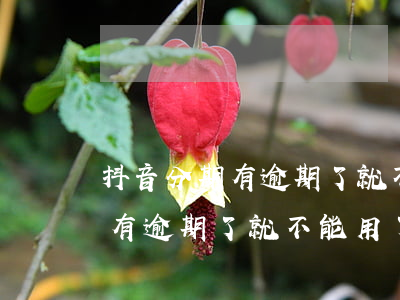 抖音分期有逾期了就不能用了嗎-抖音分期有逾期了就不能用了嗎怎么辦