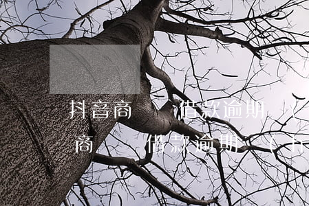 抖音商戶貸借款逾期會(huì)怎樣(抖音商戶貸借款逾期會(huì)怎樣)