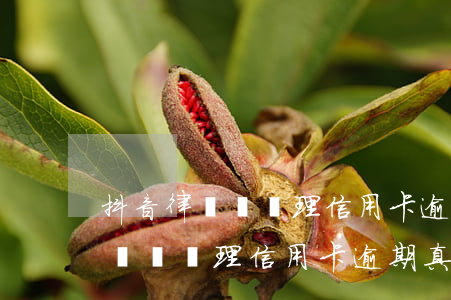抖音律師幫處理信用卡逾期真實嗎-抖音律師幫處理信用卡逾期真實嗎是真的嗎