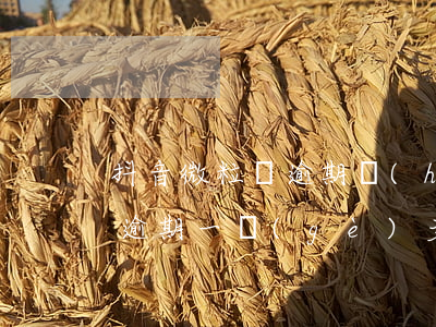 抖音微粒貸逾期會(huì)上門嗎(微粒貸逾期一個(gè)多月說要上門是真的嗎?)