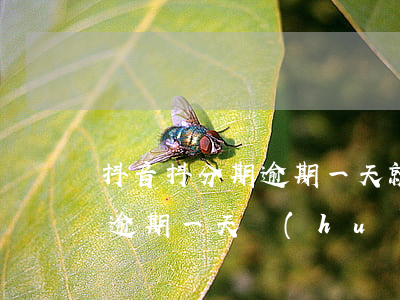 抖音抖分期逾期一天就用不了嗎-抖音分期逾期一天會(huì)上征信嗎