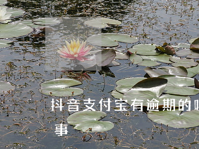 抖音支付宝有逾期的吗(支付宝逾期是怎么回事)