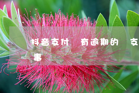 抖音支付寶有逾期的嗎(支付寶逾期是怎么回事)