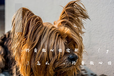 抖音放心借逾期一個(gè)月會(huì)怎么樣-抖音放心借逾期一個(gè)月會(huì)怎么樣會(huì)上門報(bào)通訊錄嗎