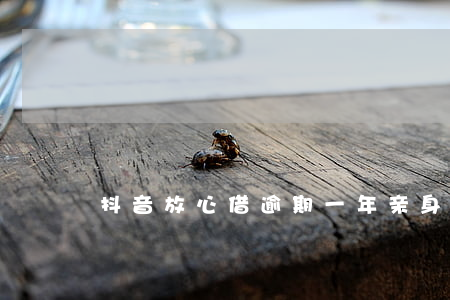抖音放心借逾期一年亲身经历(抖音借钱逾期)