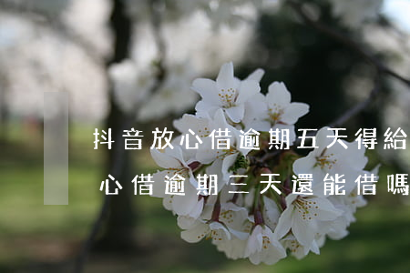 抖音放心借逾期五天得給多少費用-抖音放心借逾期三天還能借嗎