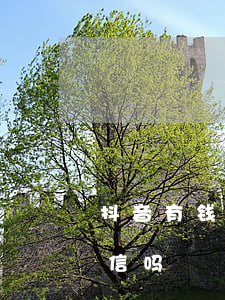 抖音有钱花逾期一天(有钱花逾期一天也上征信吗)