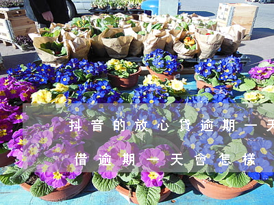 抖音的放心貸逾期一天會怎么樣-抖音放心借逾期一天會怎樣