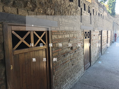 抖音綠泡泡是什么意思啊(抖音綠泡泡是什么意思啊)