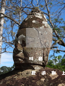 抖音網(wǎng)貸逾期國家政策 抖音借款逾期上征信嗎
