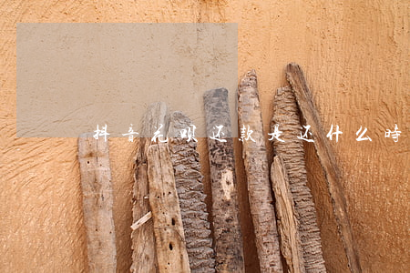 抖音花呗还款是还什么时候的款-