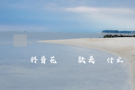 抖音花唄還款是還什么時候的款-