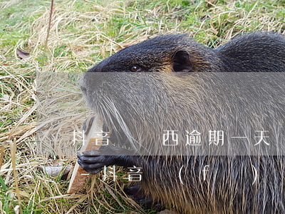 抖音買東西逾期一天會(huì)上征信嗎-抖音發(fā)貨逾期