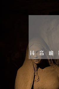 抖音逾期說上訴