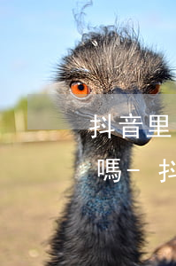 抖音里的分期付款要收商家手續(xù)費嗎-抖音分期付款要利息嗎?