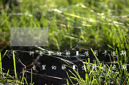 抖音里的解決信用卡逾期問題是真的嗎-抖音里的解決信用卡逾期問題是真的嗎嗎