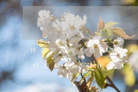 抖音里面放心借逾期幾天爆通訊錄-抖音放心借逾期會(huì)怎么樣