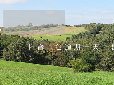 抖音錢包逾期一天會怎么樣 抖音錢包會過期嗎