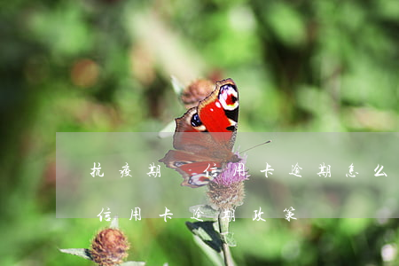 抗疫期間信用卡逾期怎么辦(疫情期間銀行對信用卡逾期政策)