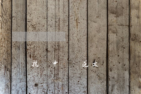 抗訴申請書范文