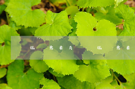 抗訴需要交費嗎(抗訴需要費用嗎)