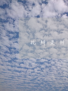 抗辩是什么意思