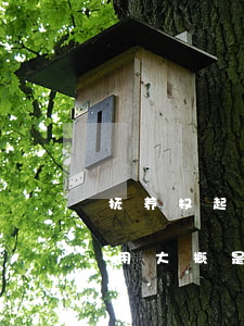 抚养权起诉费一般是多少钱啊(抚养权起诉费用大概是多少?)