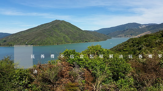 抚养费不给会怎样解决(抚养费不给会怎样解决)