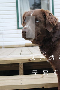 抚养费起诉需要什么材料(到法院起诉抚养费需要准备哪些材料)