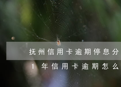 抚州信用卡逾期停息分期怎么协商-2021年信用卡逾期怎么协商分期