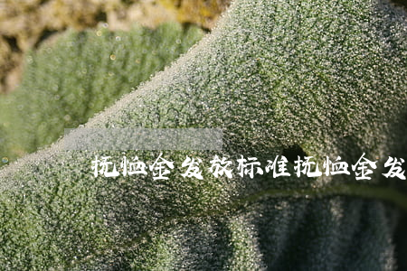 抚恤金发放标准(抚恤金发放标准2021年)