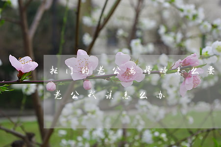 抠门的老公离婚时怎么要财产(嫁了一个抠门老公我该怎么办)