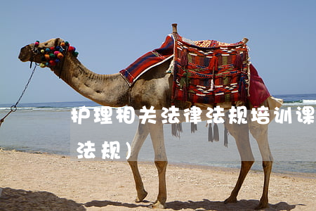 护理相关法律法规培训课件(护理相关法律法规)